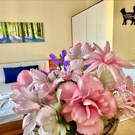 Appartement Ipanema - Menada Sveti Vlas